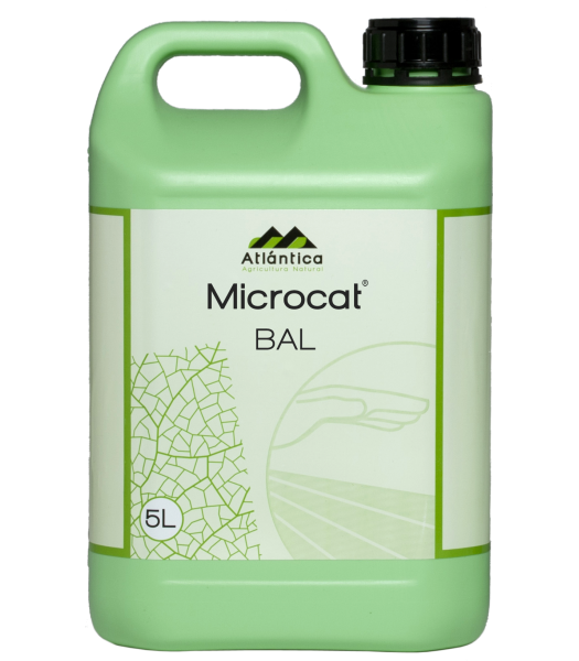 Microcat BAL, 1L-5L